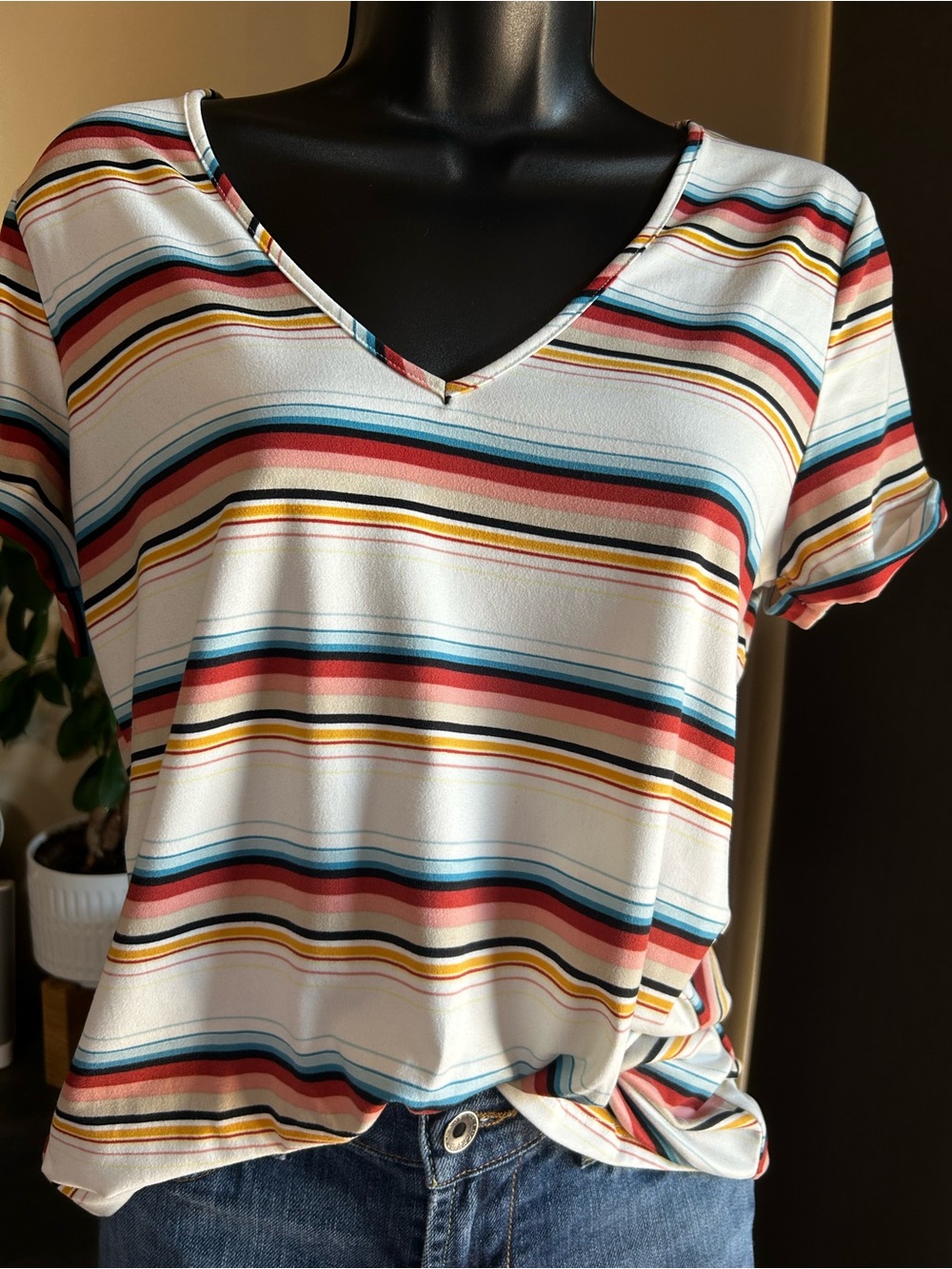 Daytrip Multicolor Striped V-Neck Short Sleeve Top